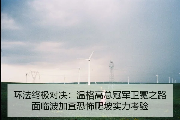 环法终极对决：温格高总冠军卫冕之路面临波加查恐怖爬坡实力考验