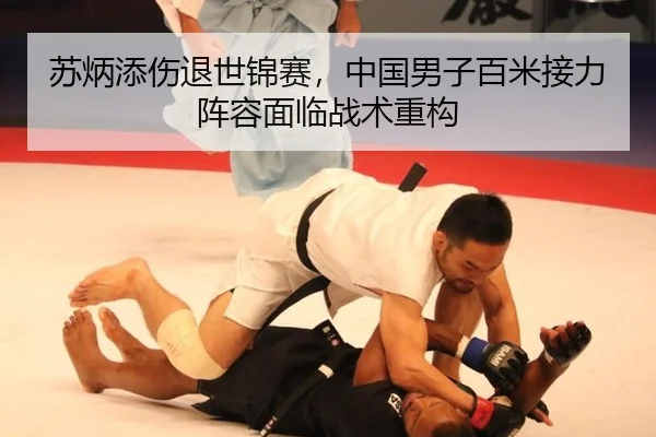 苏炳添伤退世锦赛，中国男子百米接力阵容面临战术重构